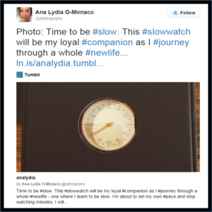 Slow Ana Lydia O'Monaco
