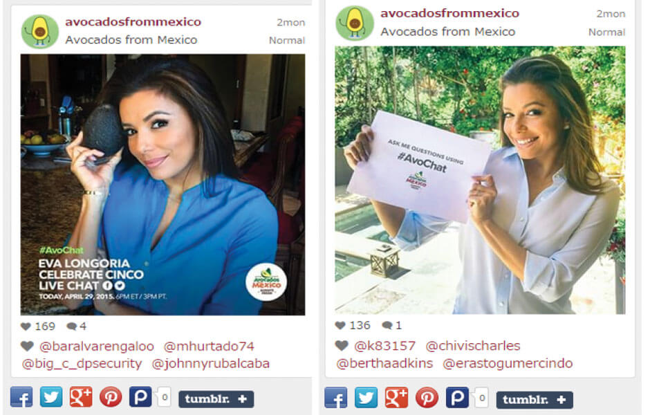 celebrity influencer program