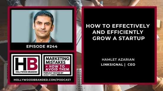 how to effectively and efficiently grow a startup hamlet azarian