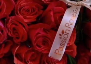 jason derulo passion roses